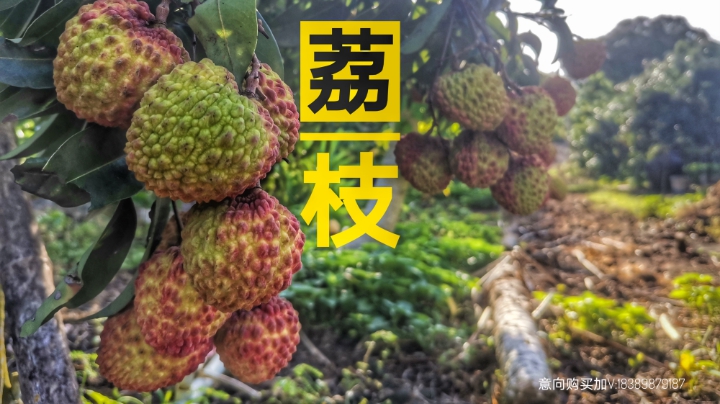 打水友号的一天！！！