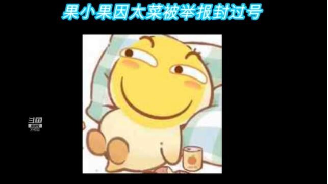 右手辅助果小果的MVP之旅（一）有点久远了
