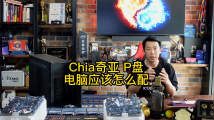 Chia奇亚P盘电脑应该怎么配？希望提供更合理的方案，给有需求的人