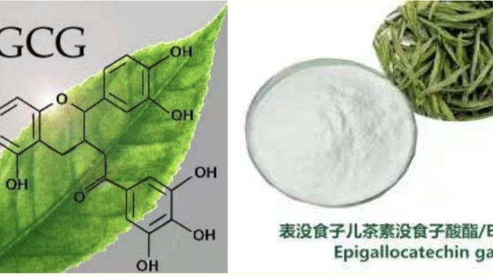 品茶中的生物化学第一讲