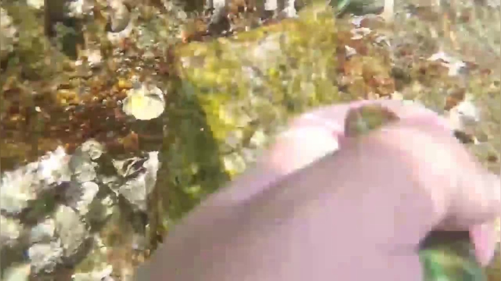 我在斗鱼看YESHI小哥直播美食