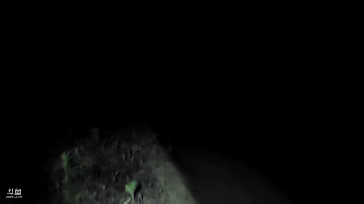 【2021-05-19 19点场】魅力生活i：抓黄鳝龙虾！！