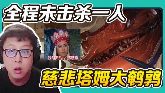 游戏结束0-1-0，全程未击杀一人，慈悲塔姆大鹌鹑