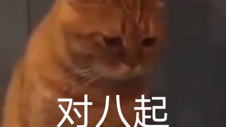 菜狗成长日记