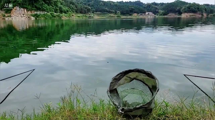 【2021-05-20 14点场】魅力生活i：情人节你快乐了吗？