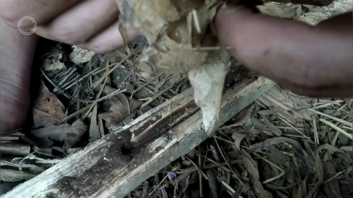 第一季 P1_原始技术：火犁【真人我的世界-空手发展-单人炼铁】 (3)