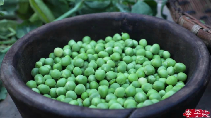 【美食】李子柒liziqi的精彩时刻 20210520 06点场