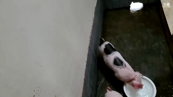 【2021-05-20 15点场】叶子户外：《纪实直播》新疆哈密