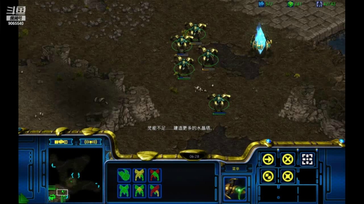 慢手学习玩星际pvt