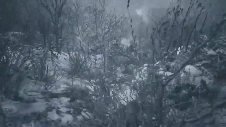 生化危机 8 村庄流程攻略[第一阶段]中文对白1-(5)