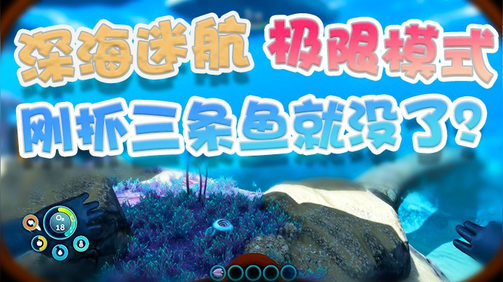 《水世界2》(1)：挑战极限模式只有一次生命，没想到刚下水抓了三条鱼就没了！