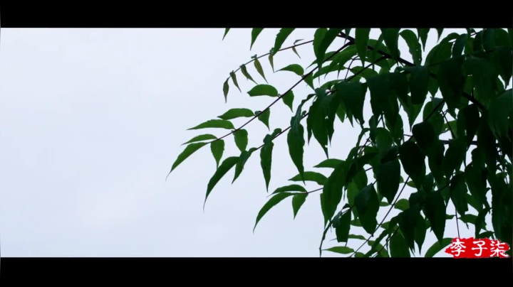 【美食】李子柒liziqi的精彩时刻 20210522 10点场
