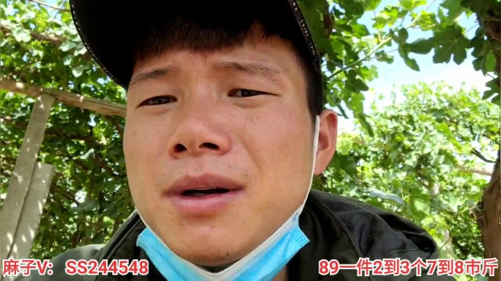 【2021-05-22 11点场】叶子户外：新疆哈密瓜地