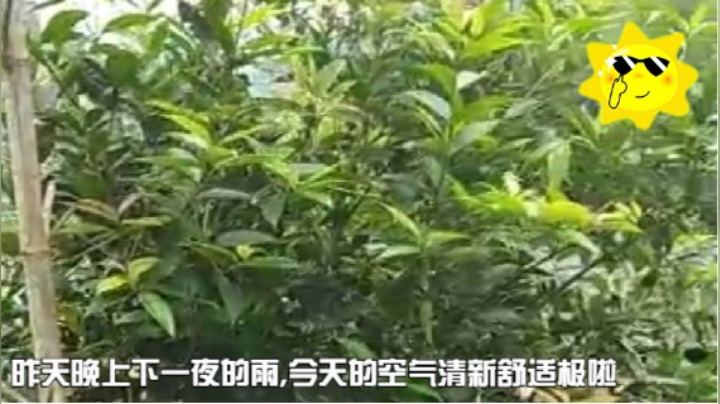 久违的空气，格外的清新。