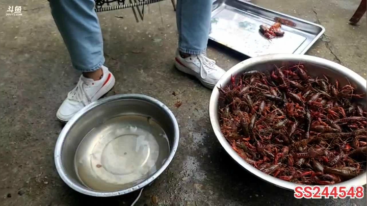 【2021-05-22 14点场】叶子户外：新疆哈密瓜地