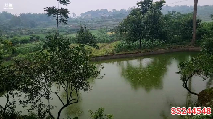 【2021-05-22 16点场】叶子户外：新疆哈密瓜地