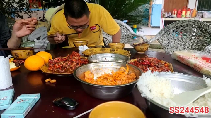 【2021-05-23 13点场】叶子户外：干塘找甲鱼