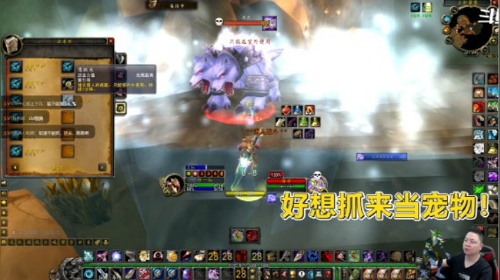 魔兽TBC怀旧服：刚加入的超帅野兽，猎人们摩拳擦掌，可惜了！