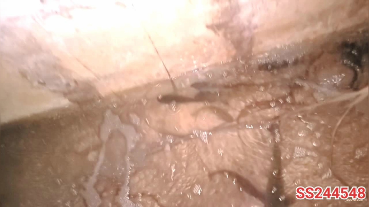 【2021-05-23 02点场】叶子户外：雨天连夜干塘