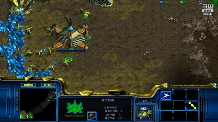 慢手神族pvt 真的不知道进攻