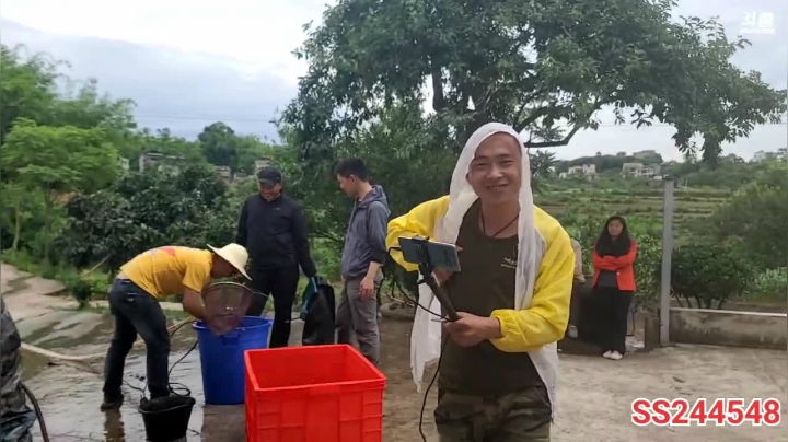 【2021-05-23 16点场】叶子户外：干塘找甲鱼