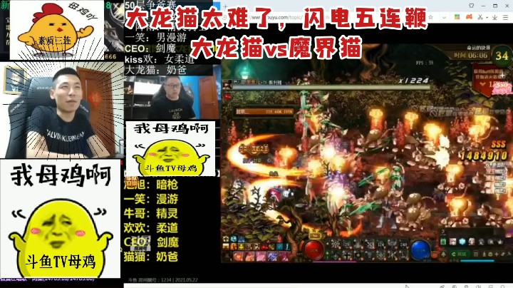 大龙猫太难了