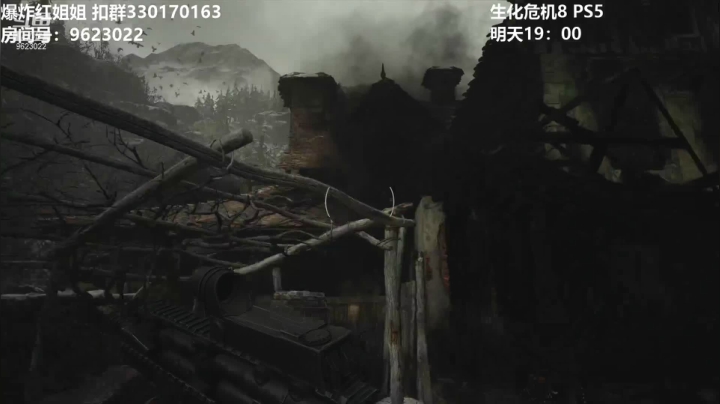 【生化危机8】二周目-6