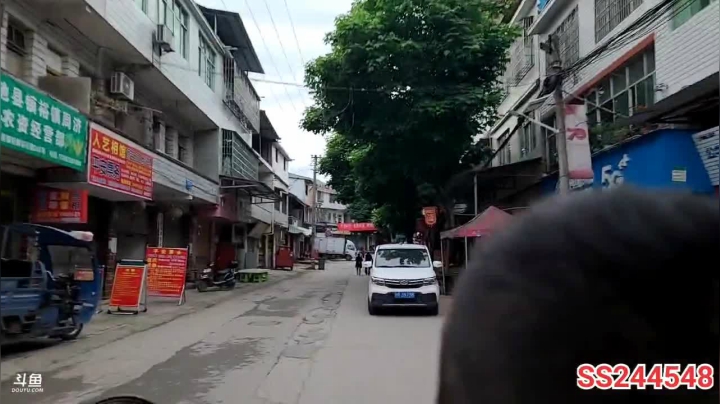 【2021-05-23 18点场】叶子户外：干塘找甲鱼