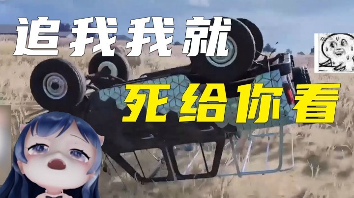 【一条小团团】这一届水友真难带！