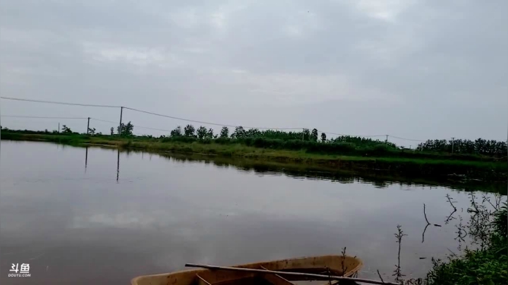 【2021-05-24 14点场】洪湖小肖：活到老，学到老