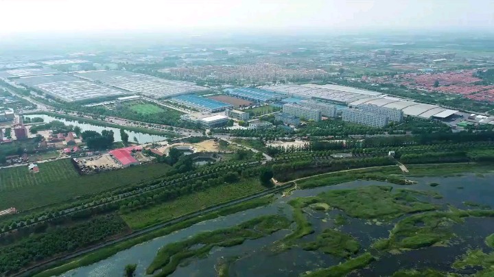 与诚信同行 向健康出发，南村镇举办喜迎建党100周年全民健身活动