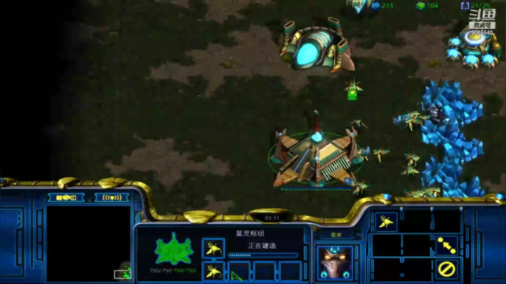 【星际争霸】pvt  遇到空投的t，直接换家