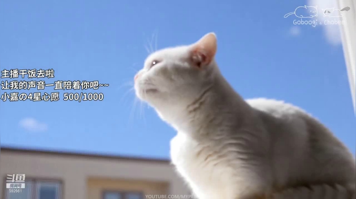 【音乐】米嘉Mika的精彩时刻 20210525 14点场