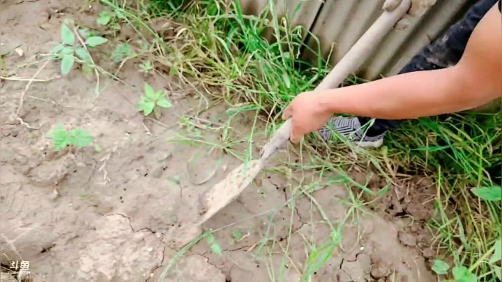 【2021-05-25 15点场】洪湖小肖：活到老，学到老