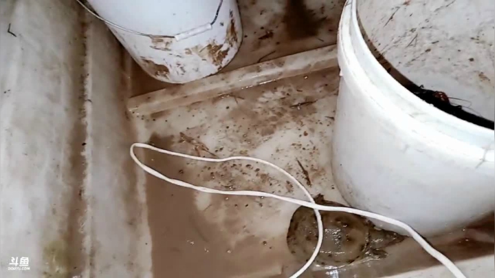 【2021-05-25 19点场】洪湖小肖：活到老，学到老