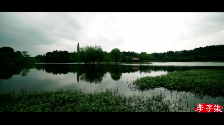 【美食】李子柒liziqi的精彩时刻 20210526 00点场