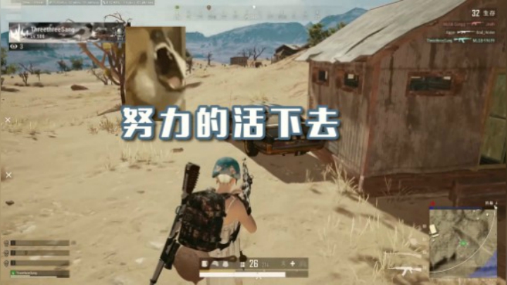 战非日常 绝地女司机