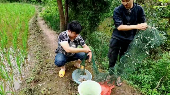 【2021-05-26 14点场】川味箩卜：双倍经验！