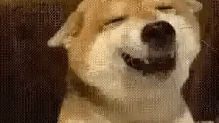 lol