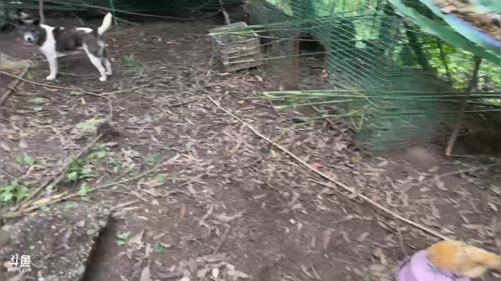 【2021-05-27 10点场】叶子户外：《纪实直播》新疆大巴扎