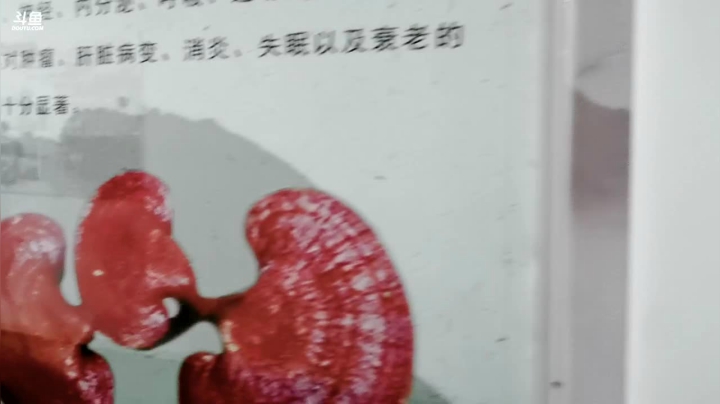 【2021-05-27 15点场】正能量星球：网络大V荆楚行—十堰市郧阳区