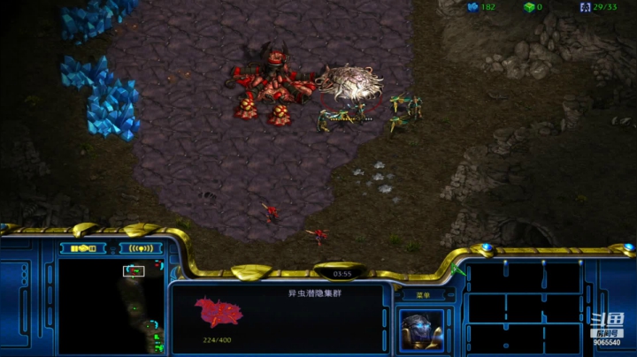 【星际争霸】慢手神族pvz 双bg开局