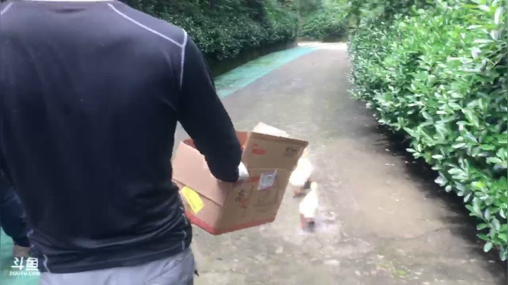 【2021-05-28 14点场】叶子户外：想念当家的第一天