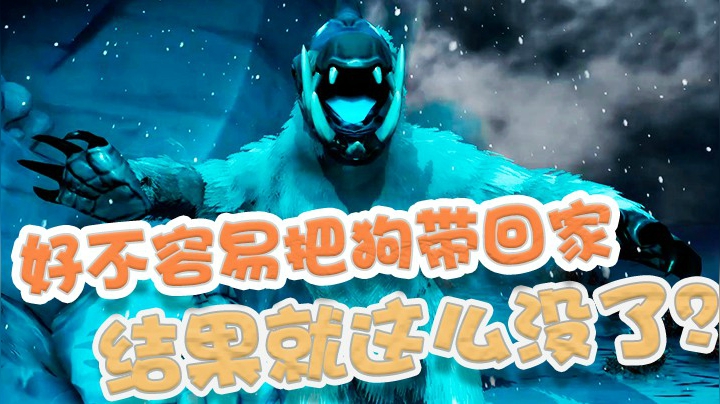 想养个狗容易嘛！千辛万苦把狗绑回去，结果被我玩死了？