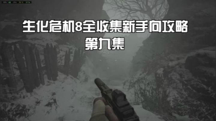 生化危机8全收集新手向攻略 3回村庄