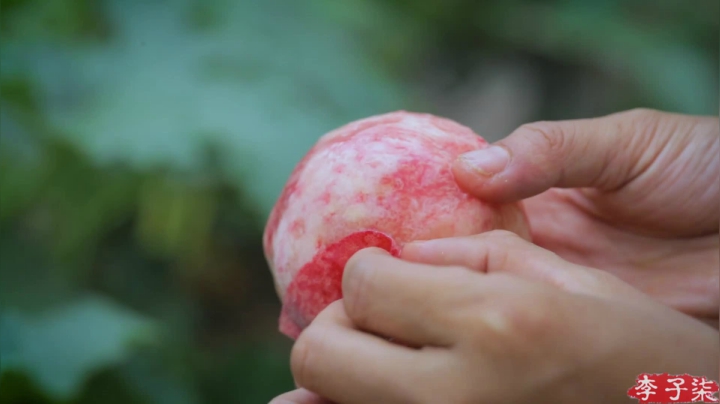 【美食】李子柒liziqi的精彩时刻 20210528 06点场