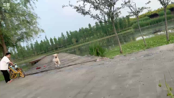 【2021-05-28 17点场】小6想去月球：【推荐位】户外捉田螺