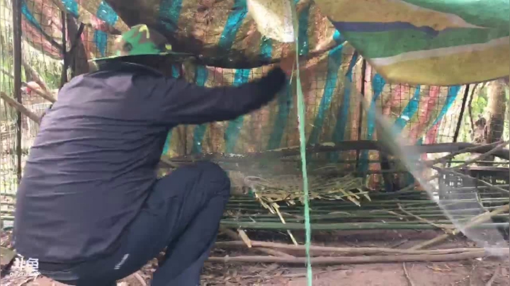 【2021-05-28 17点场】叶子户外：想念刘总第一天