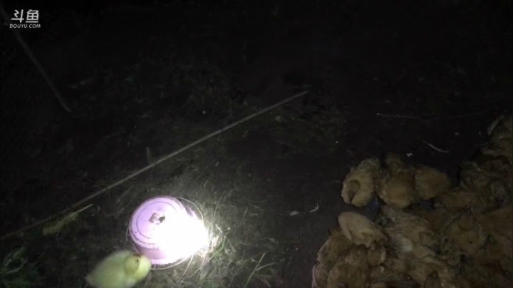 【2021-05-28 21点场】叶子户外：想念刘总第一天