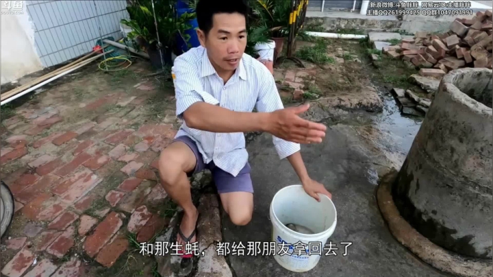 【2021-05-28 03点场】胖胖灬：胖胖OB：LPL战队韩服备战夏季赛！